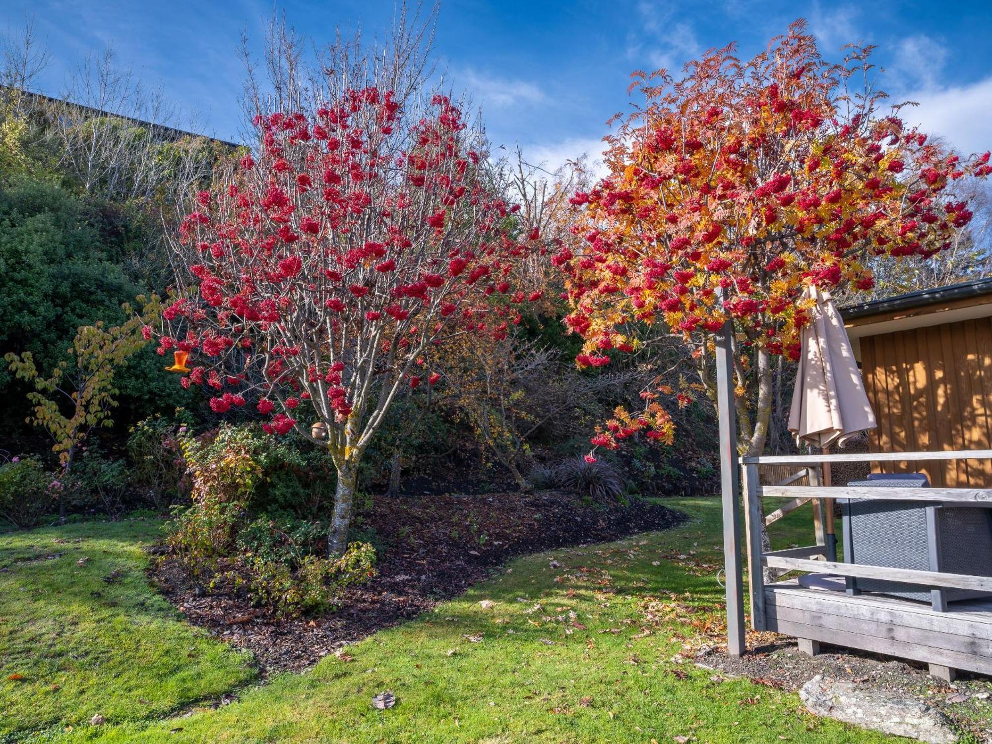 Wanaka Springs Lodge Kültér fotó